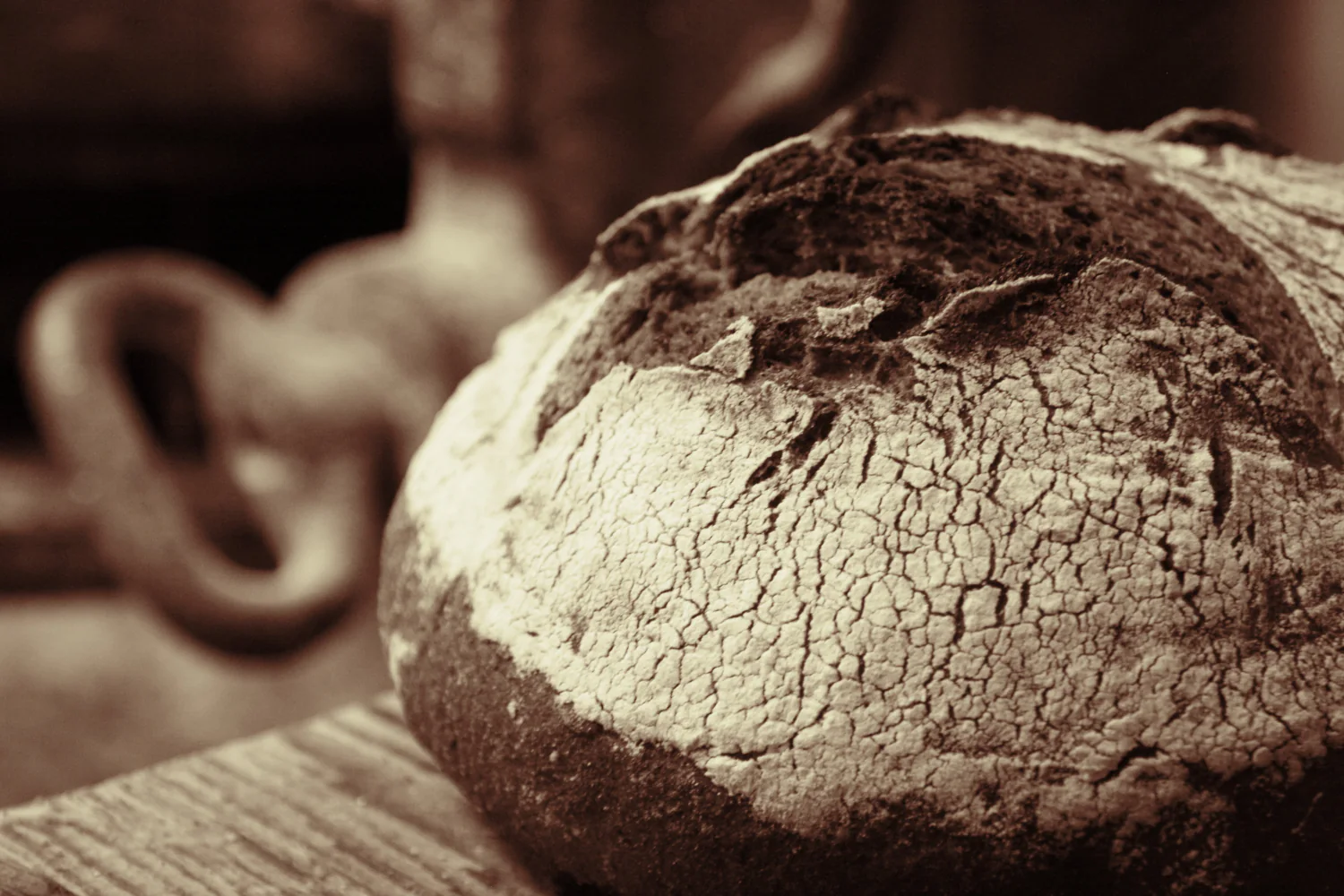 Frisch gebackenes Brot der Landbäckerei Friedrich aus Freital bei Dresden