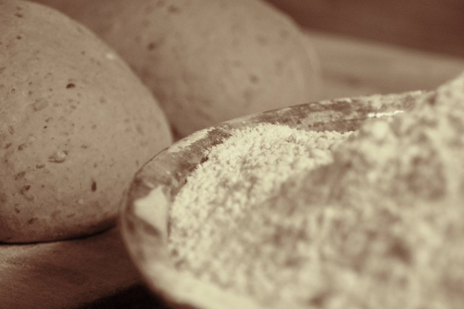 Frisches Sauerteigbrot der Landbäckerei Friedrich aus Freital